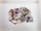 Preview: Fluorlamprophyllite